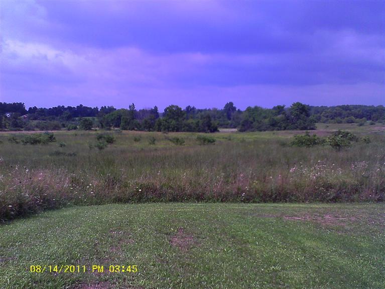 5533 East Butler Road Dowling, MI 49050 - Photo 10 of 24 Additional Photo