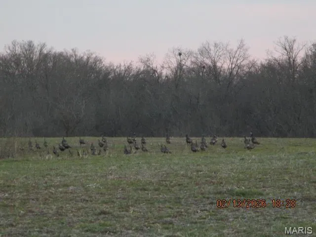 $51,610 | Lot #4 Pcr 910, Perryville, MO 63775