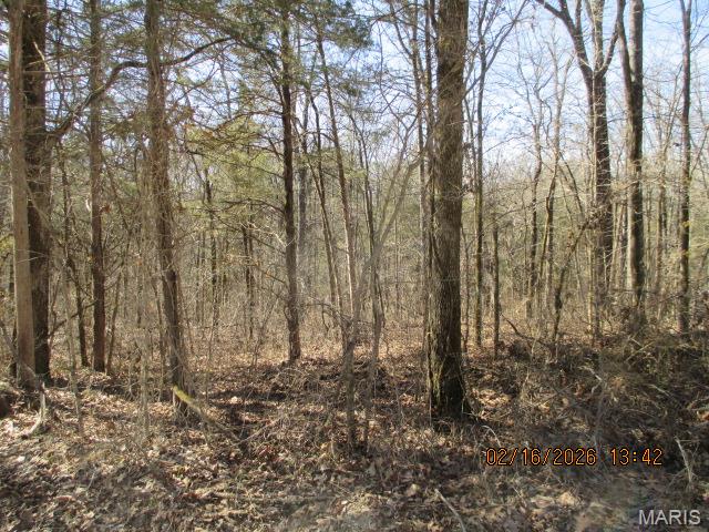 Lot #4 Pcr 910 Perryville, MO 63775 - Photo 5 of 5