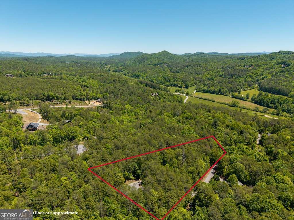 259 The Woods Road, Unit 33 Mineral Bluff, GA 30559 - Photo 54 of 54