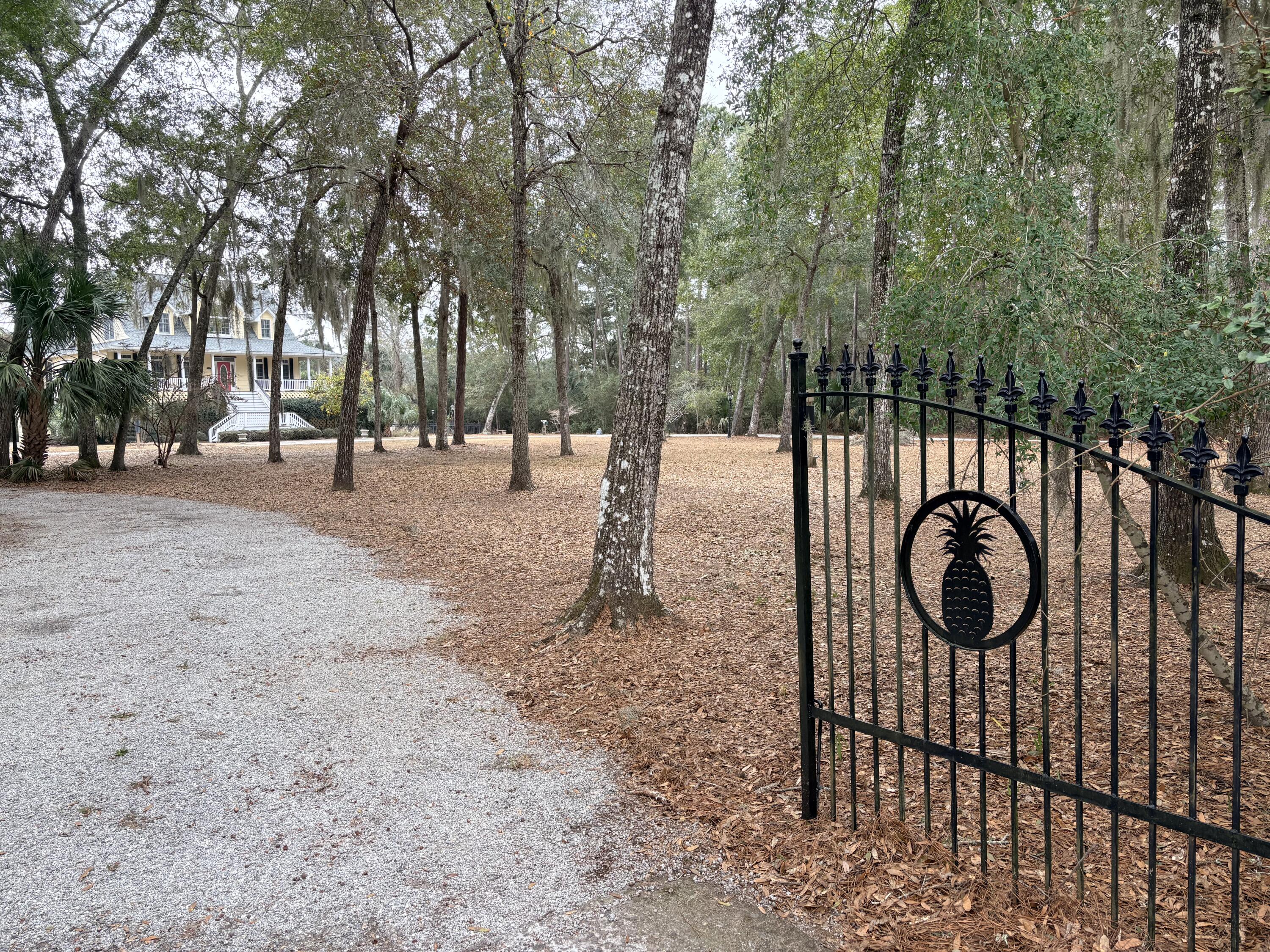 8970 Palmetto Road Edisto Island, SC 29438 - Photo 2 of 48 Welcome Home!!