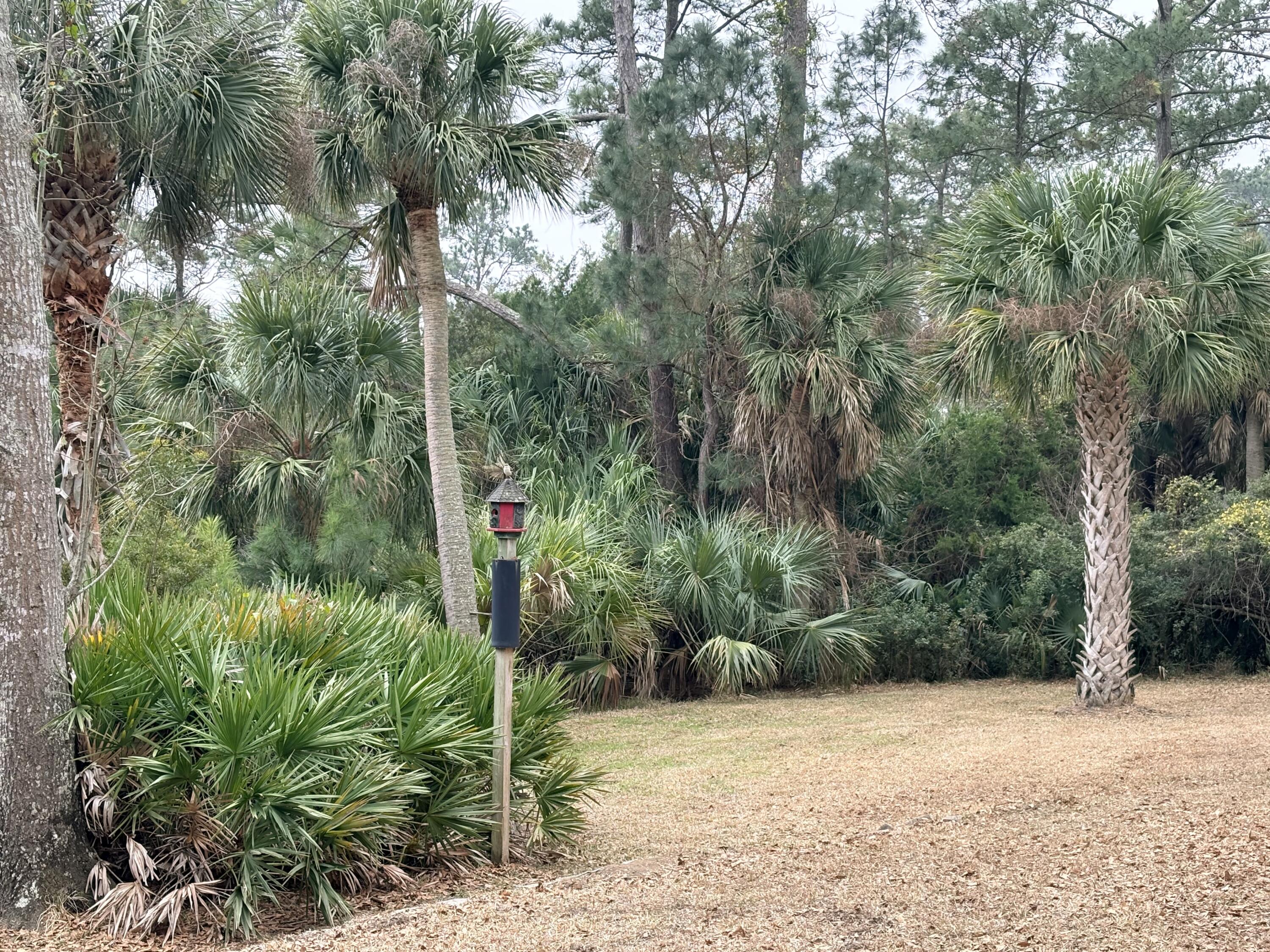 8970 Palmetto Road Edisto Island, SC 29438 - Photo 31 of 48 RIght Rear View
