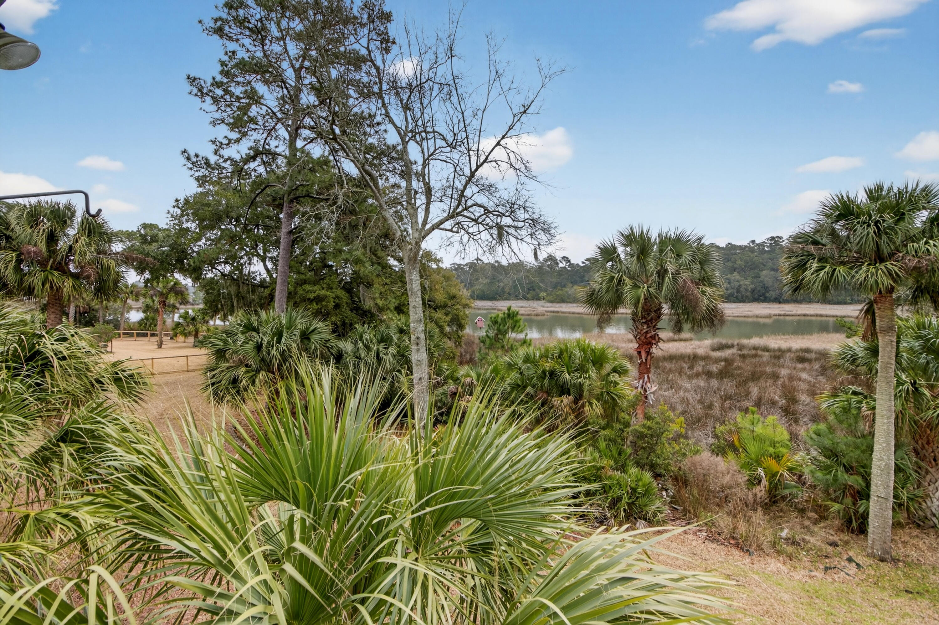 8970 Palmetto Road Edisto Island, SC 29438 - Photo 32 of 48 Upper Left Rear View