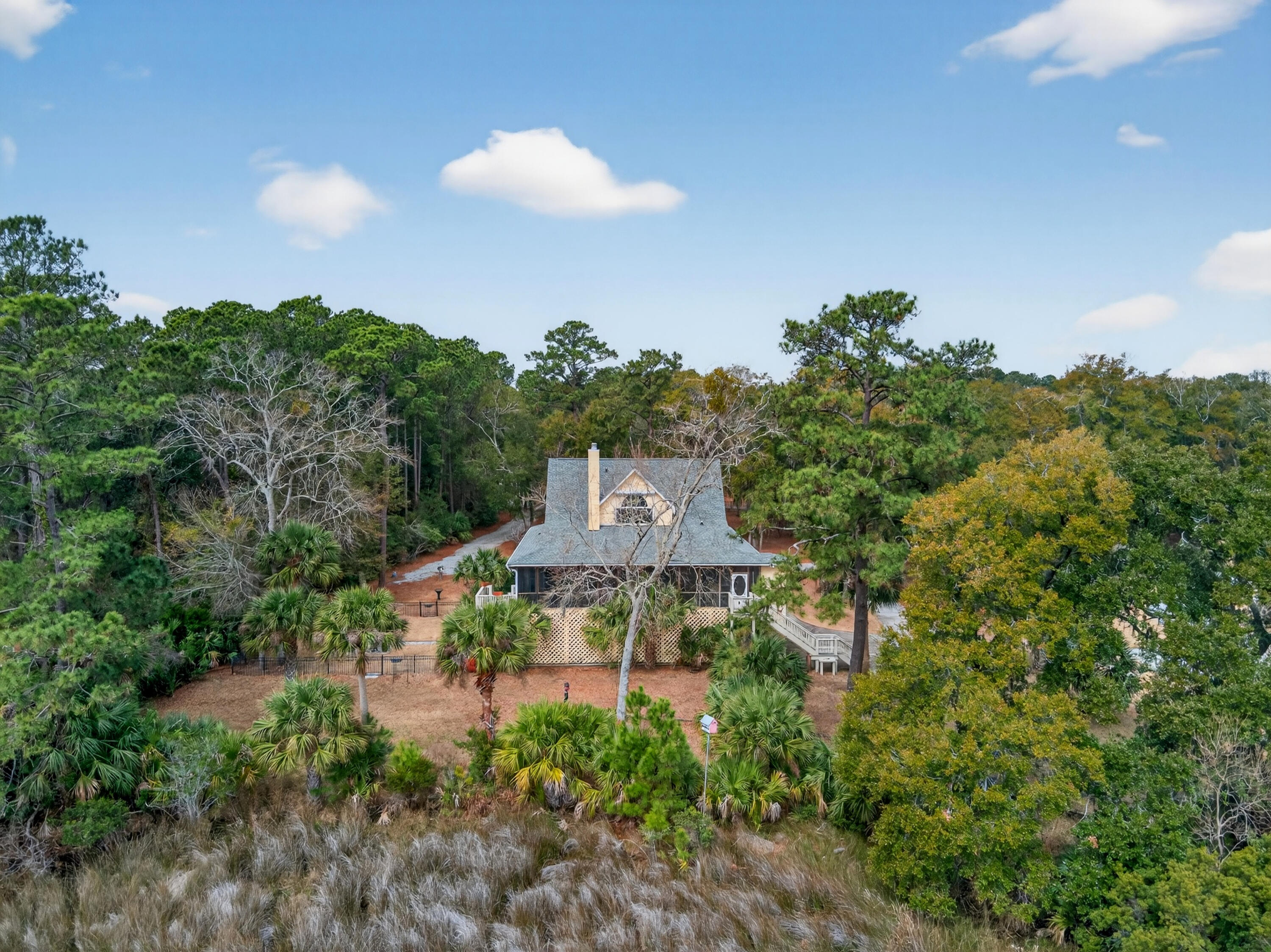 8970 Palmetto Road Edisto Island, SC 29438 - Photo 44 of 48 Rear of Home