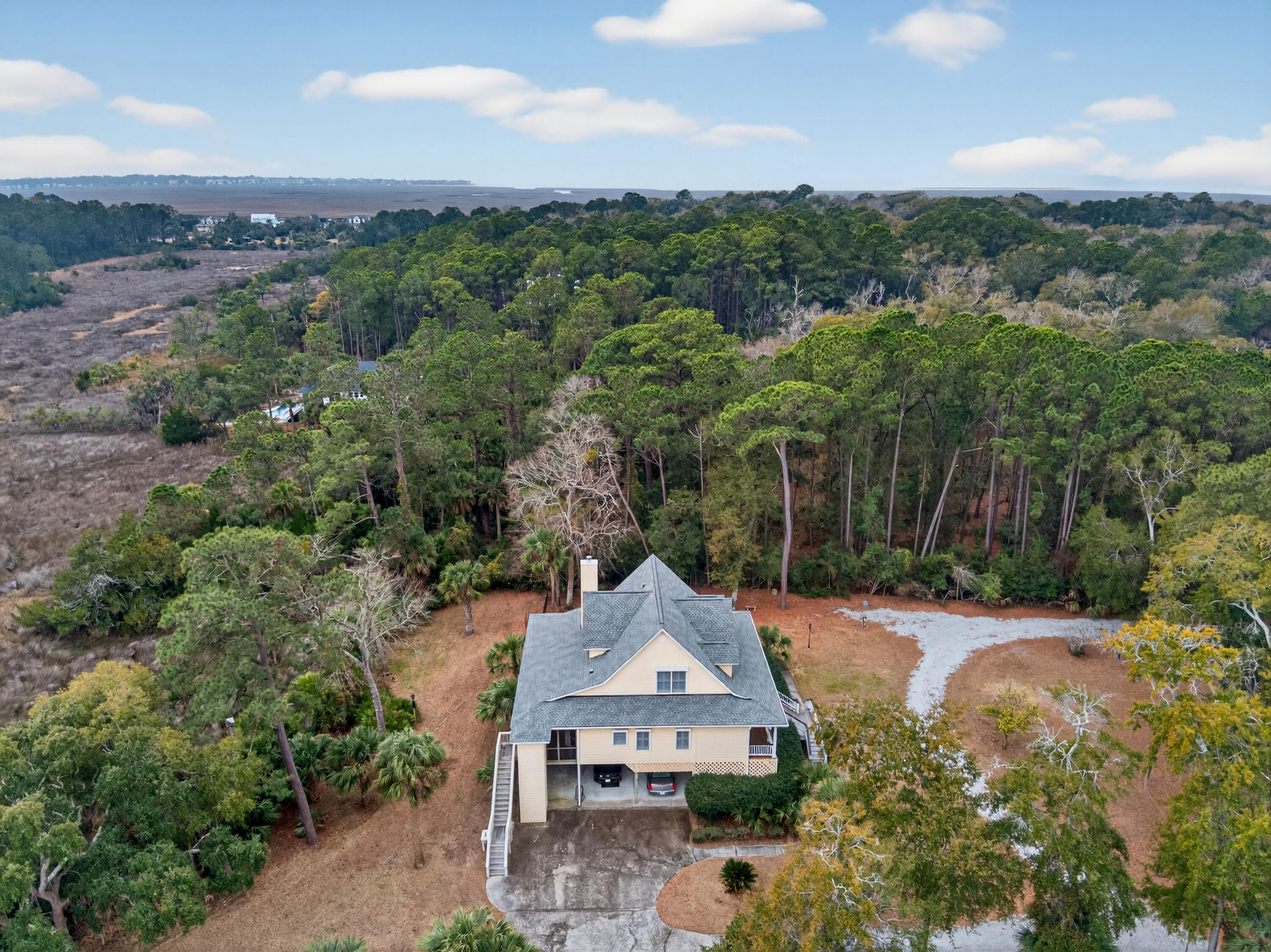 8970 Palmetto Road Edisto Island, SC 29438 - Photo 45 of 48 Left Side