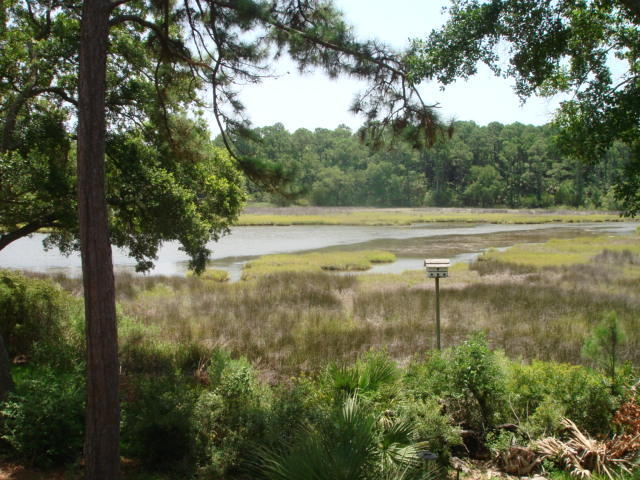 8970 Palmetto Road Edisto Island, SC 29438 - Photo 5 of 48 Pond View