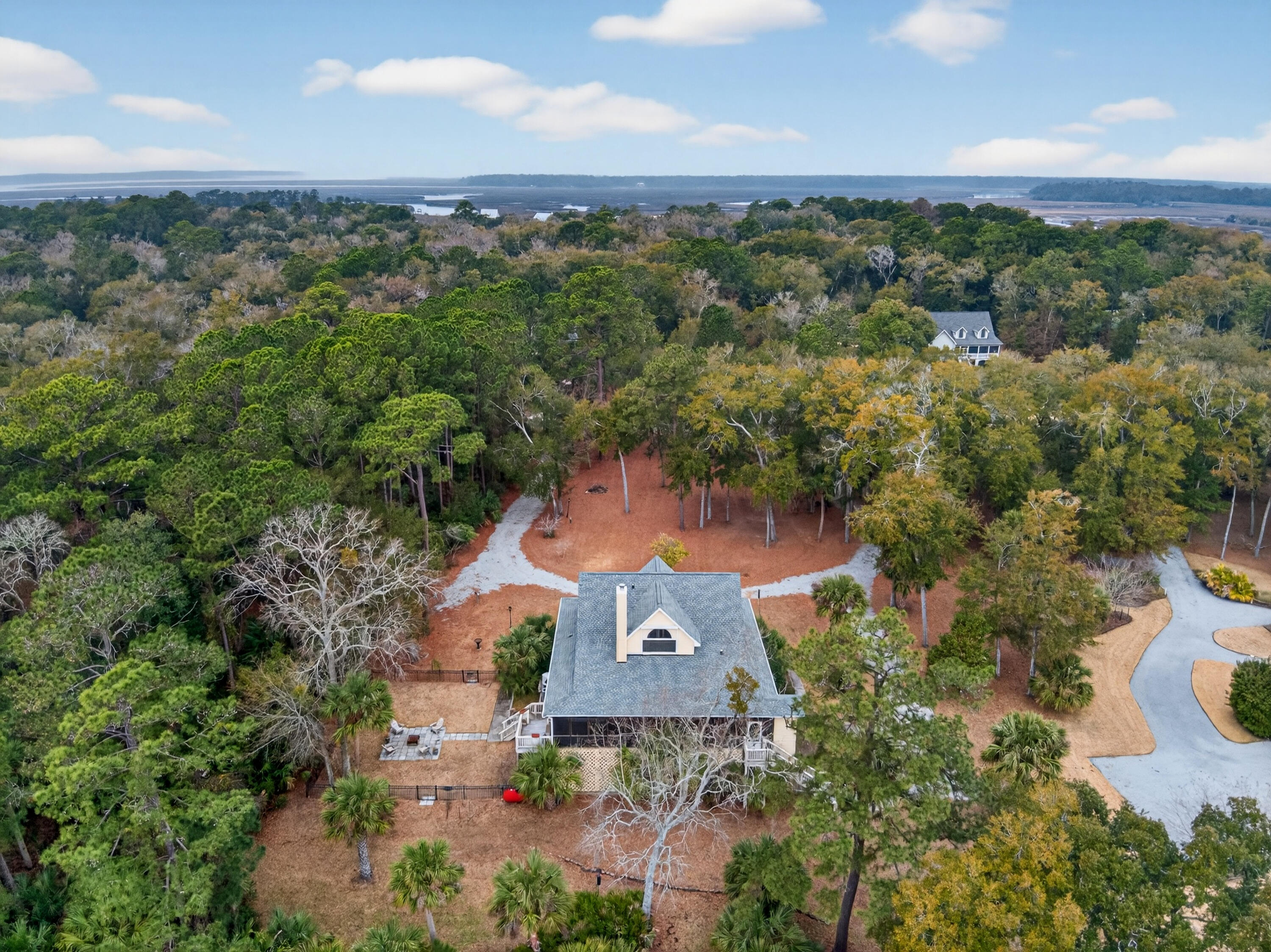 8970 Palmetto Road Edisto Island, SC 29438 - Photo 6 of 48 Looking towards front of property