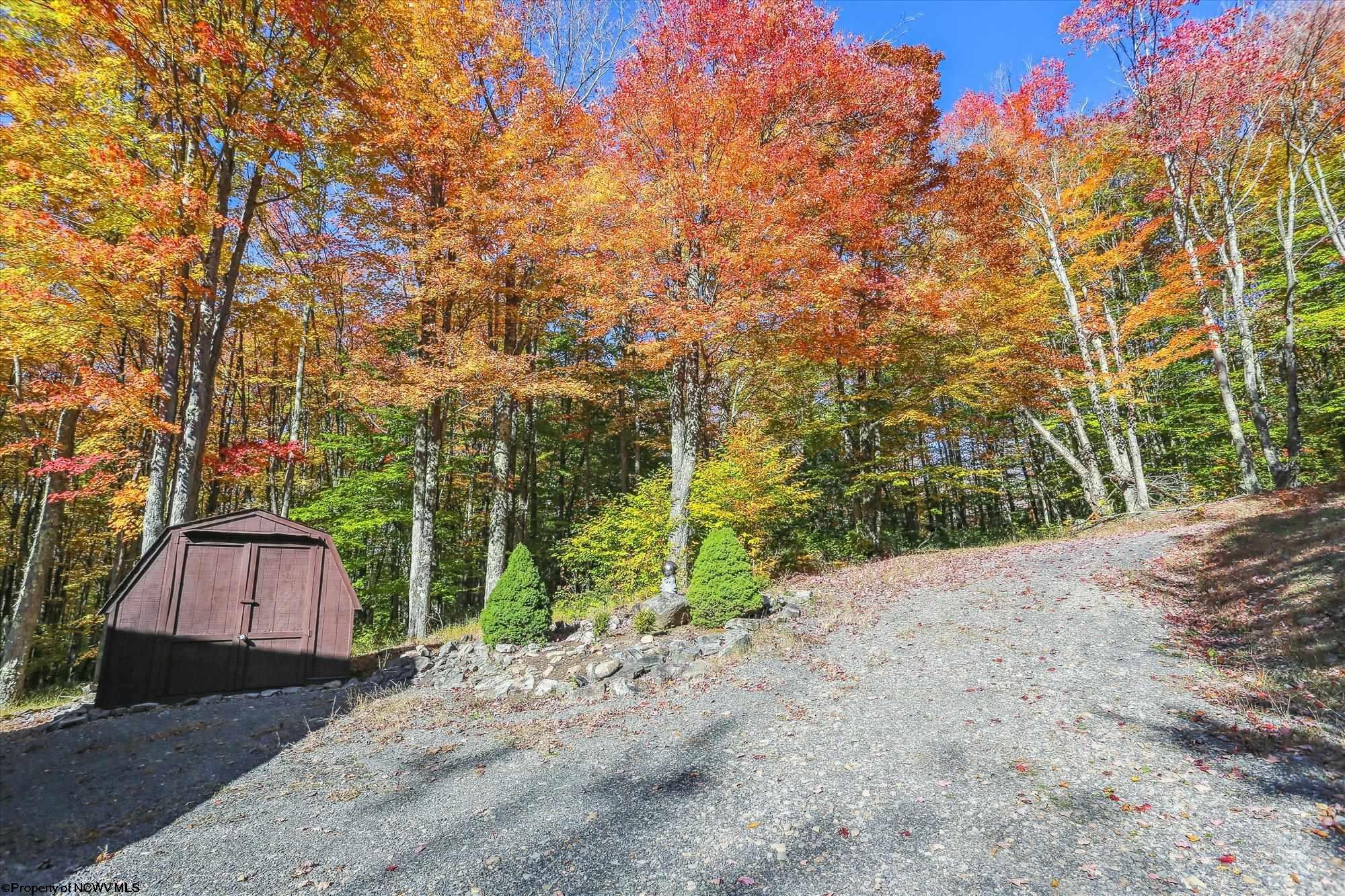 231 Cabin Mountain Road Davis, WV 26260 - Photo 25 of 28 Gallery Image 25