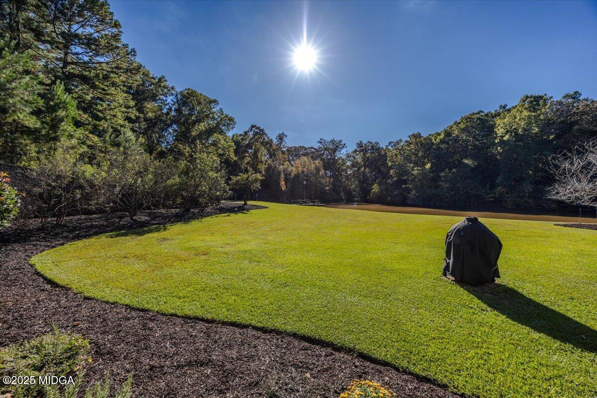 208 Crystal Drive Byron, GA 31008 - Photo 70 of 87 87-5W7A6515