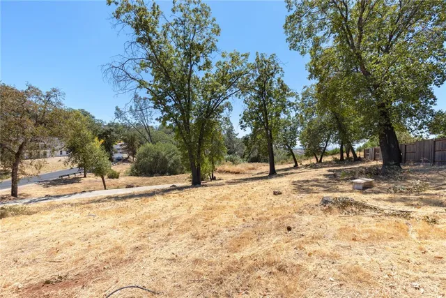 a view of a yard with an ocean view