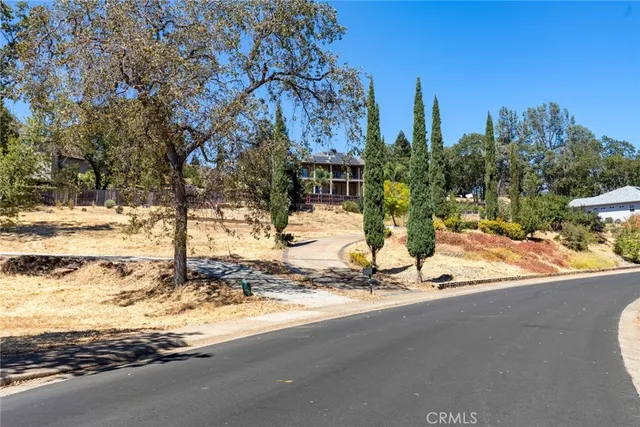 a view of a yard with trees in front of it