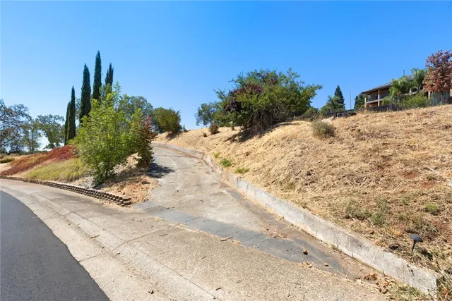 a view of a yard with trees and a building in the background