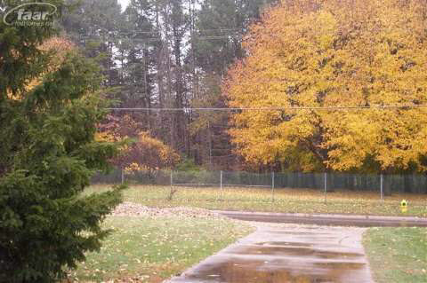 9106 Carpenter Road Flushing, MI 48433 - Photo 13 of 14 20386426-12.JPG