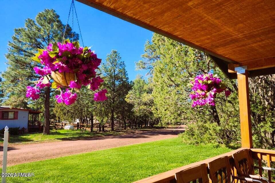 2086 Pinewood Drive Overgaard, AZ 85933 - Photo 2 of 33 a view of a yard with plants and large trees
