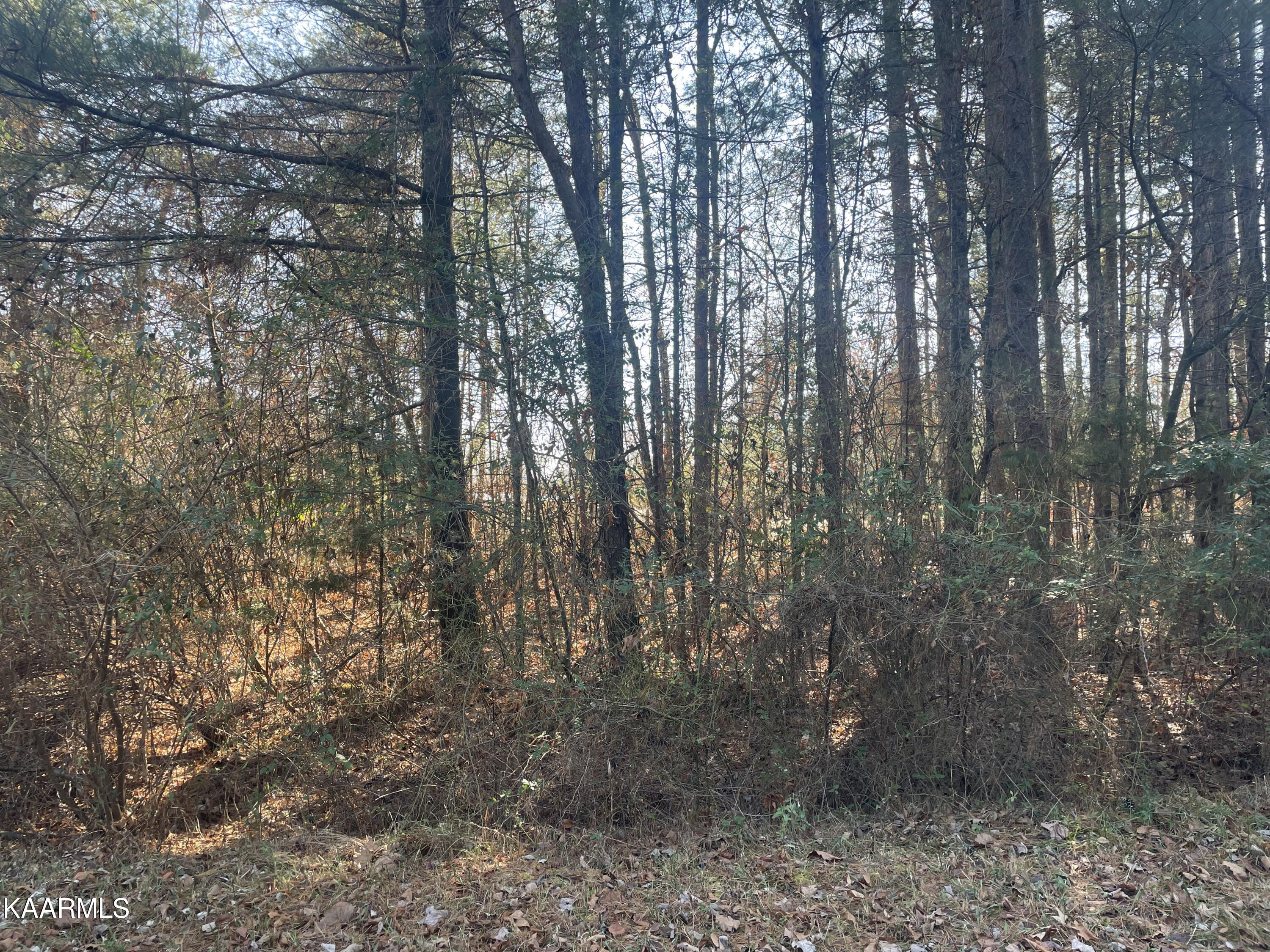 5047 Beaver Road Crossville, TN 38572 - Photo 1 of 1 Beaver rd
