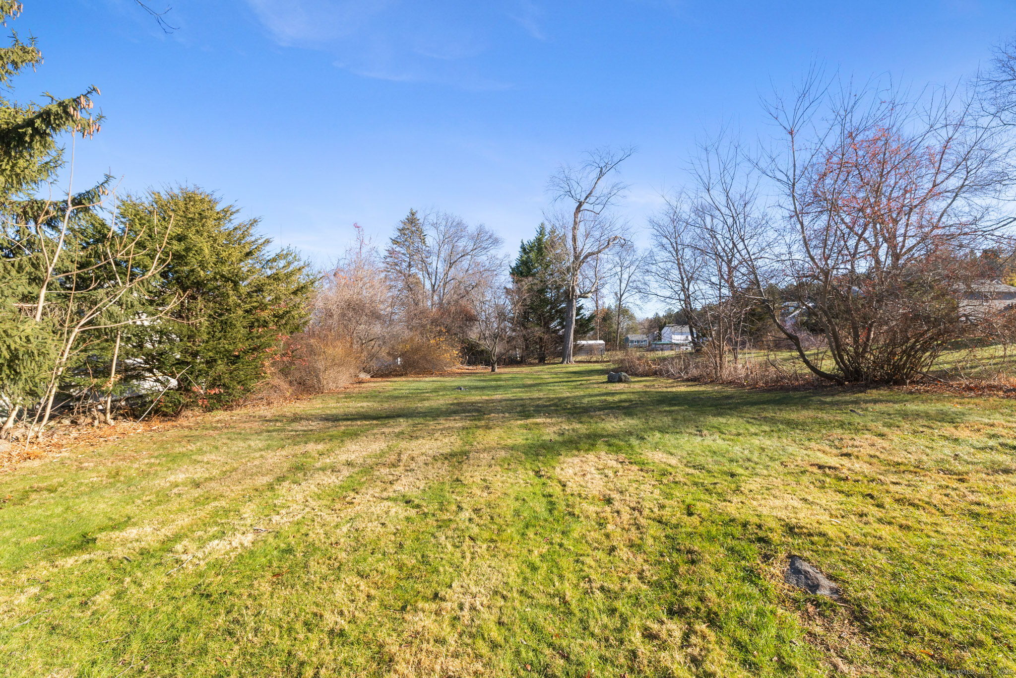 95 Tuttle Street Bristol, CT 06010 - Photo 28 of 28 a view of a yard with large trees