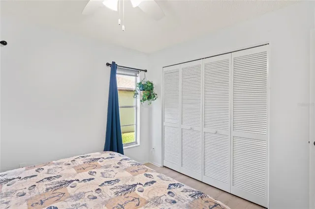 a view of a park that has a tree in it