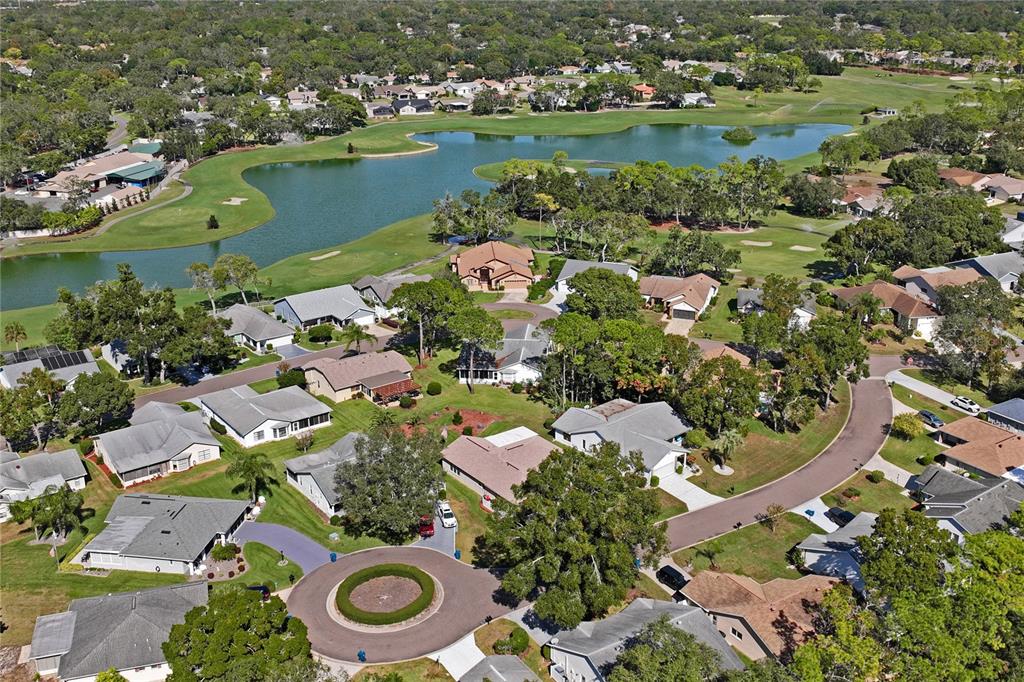 7107 Pond View Court Spring Hill, FL 34606 - Photo 68 of 100