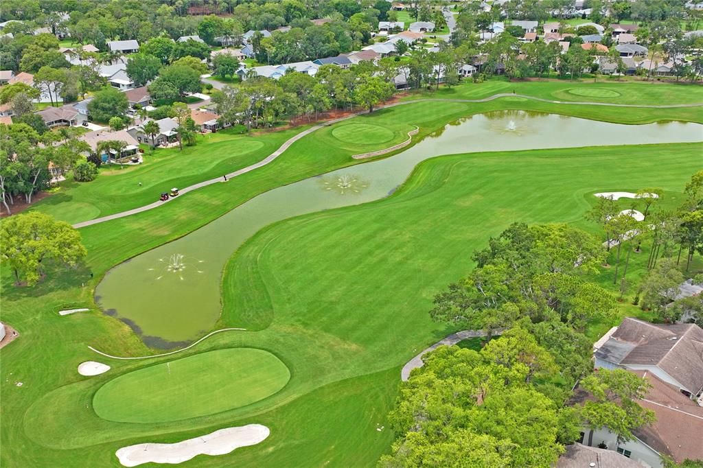 7107 Pond View Court Spring Hill, FL 34606 - Photo 82 of 100
