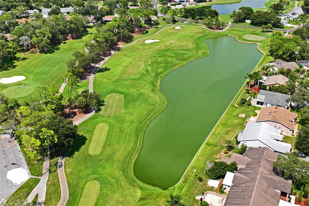 7107 Pond View Court Spring Hill, FL 34606 - Photo 90 of 100