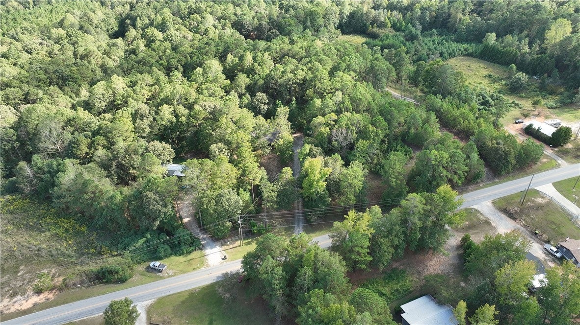 795 Peckerwood Road Jacksons Gap, AL 36861 - Photo 8 of 37 Gallery Image 8