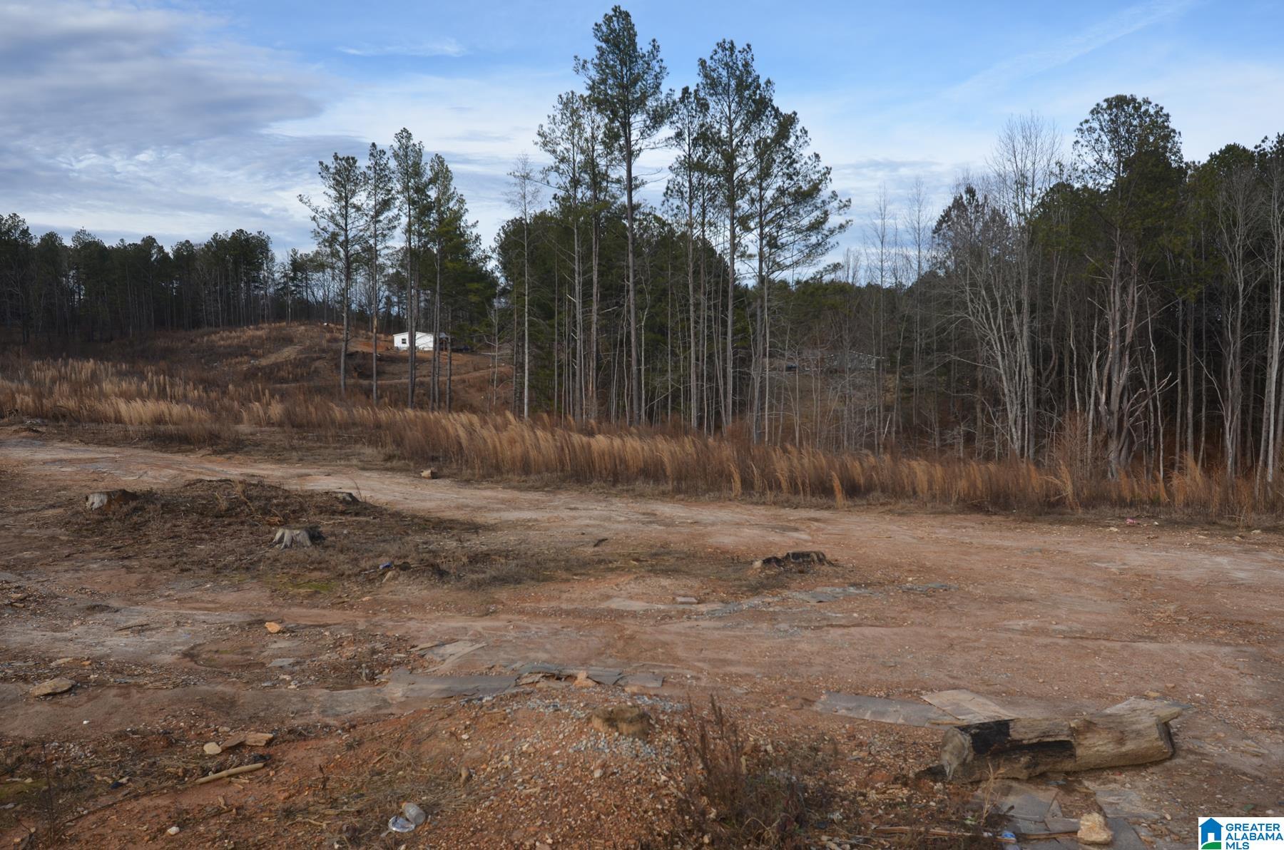 2395 County Road 91 Fruithurst, AL 36262 - Photo 35 of 39