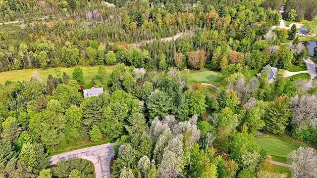 $16,500 | Lot 14 White Pine Drive, Cadillac, MI 49601