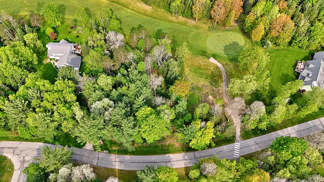 $16,500 | Lot 14 White Pine Drive, Cadillac, MI 49601