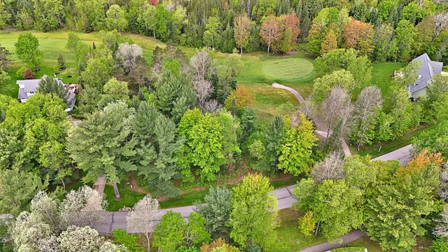 $16,500 | Lot 14 White Pine Drive, Cadillac, MI 49601