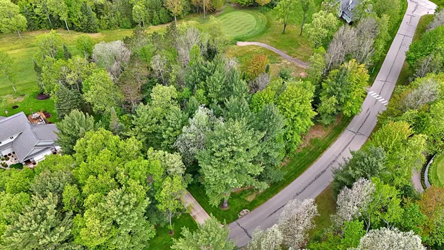 $16,500 | Lot 14 White Pine Drive, Cadillac, MI 49601