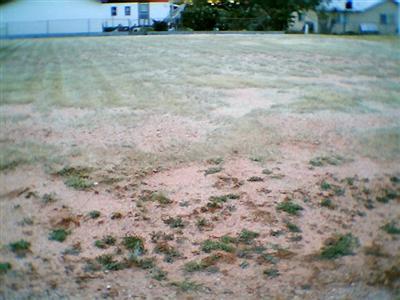 0 North Warren Road Benson, AZ 85602 - Photo 4 of 5