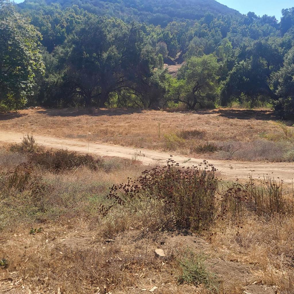 0 De Luz Murrieta Road Fallbrook, CA 92028 - Photo 2 of 5 a view of a yard with a wooden fence