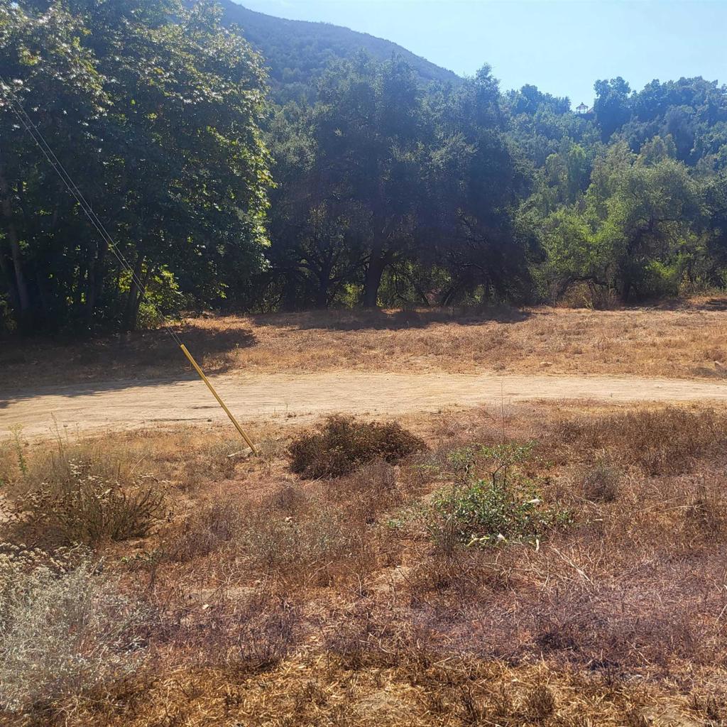 0 De Luz Murrieta Road Fallbrook, CA 92028 - Photo 3 of 5 a view of a yard with a tree