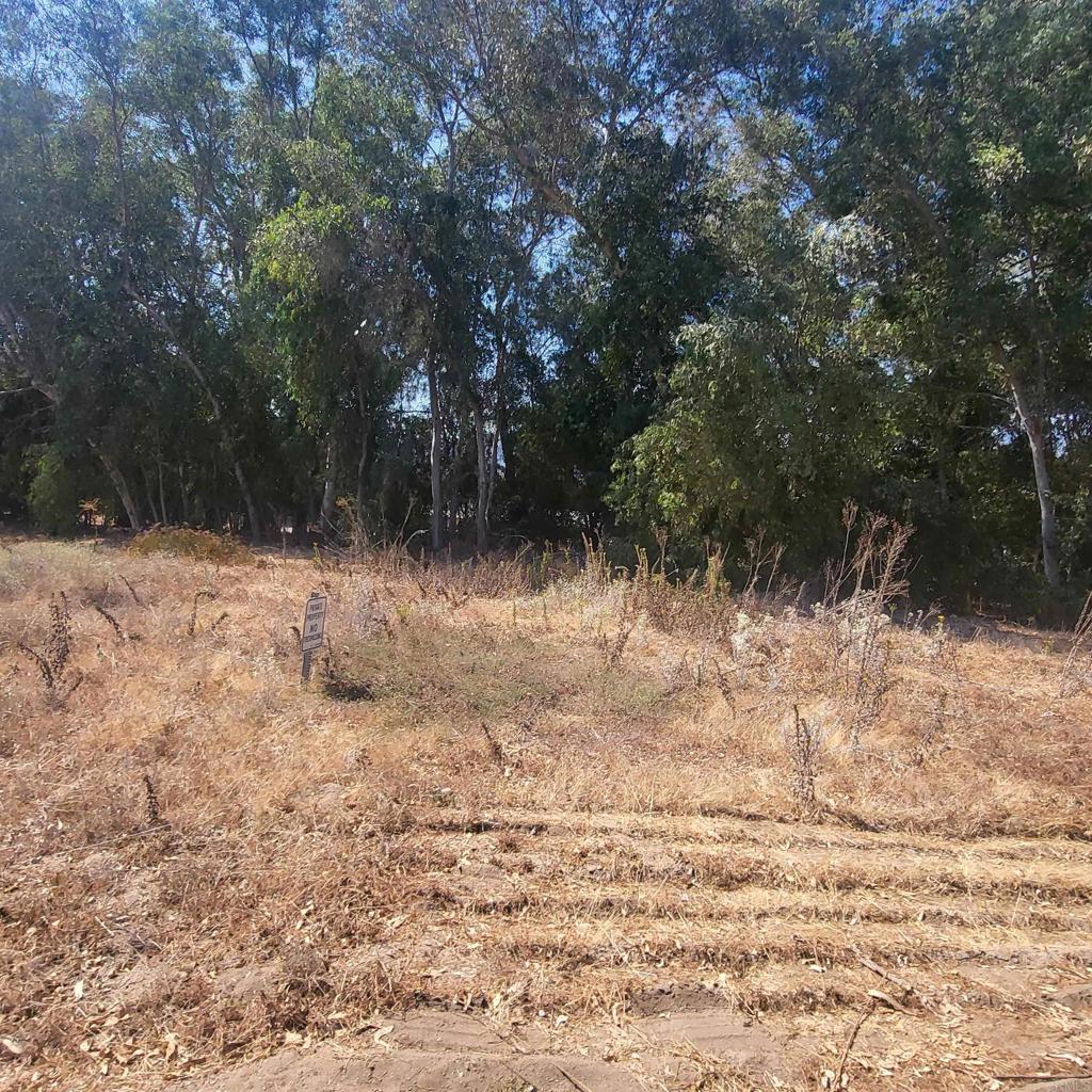 0 De Luz Murrieta Road Fallbrook, CA 92028 - Photo 4 of 5