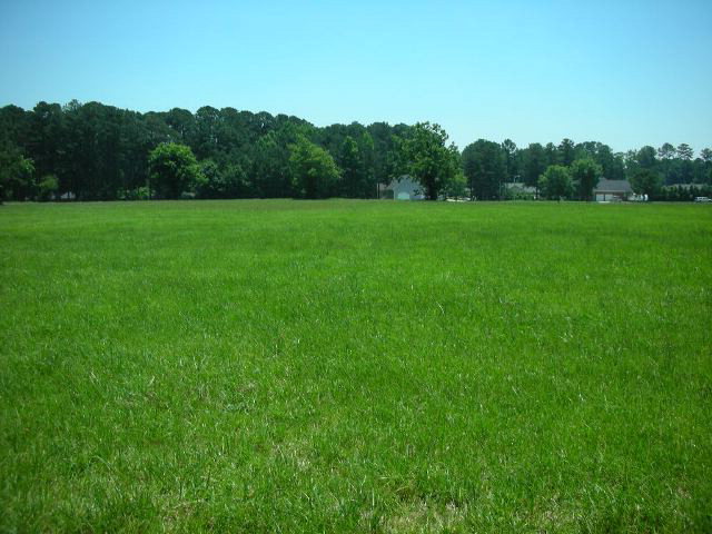 0 Lake Wilson Road Wilson, NC 27896 - Photo 3 of 3 Additional Photo