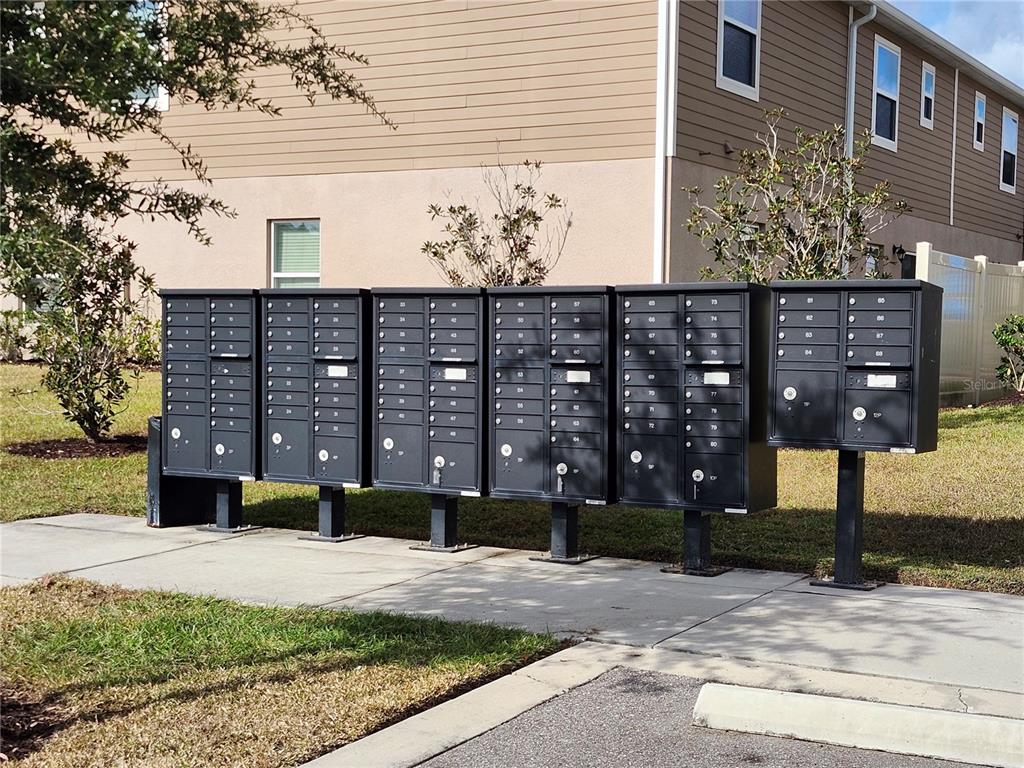 4718 Legendary Oak Street Tampa, FL 33610 - Photo 21 of 21 a front view of a building with a yard
