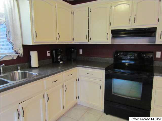 63 Joshua Road Pell City, AL 35128 - Photo 6 of 31