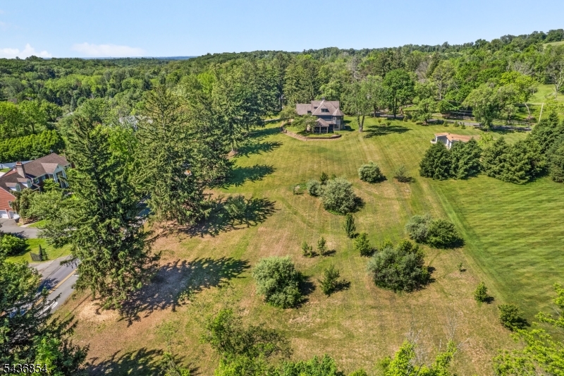 165 Fox Chase Road Chester, NJ 07930 - Photo 5 of 50