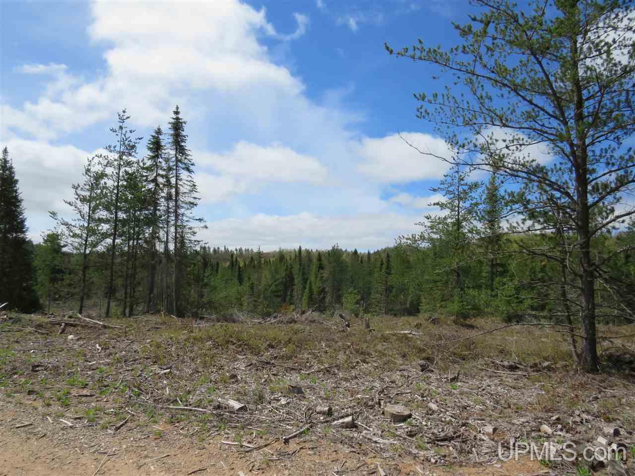 Tbd Tbd Off The Boise Route Road Negaunee, MI 49866 - Photo 27 of 45