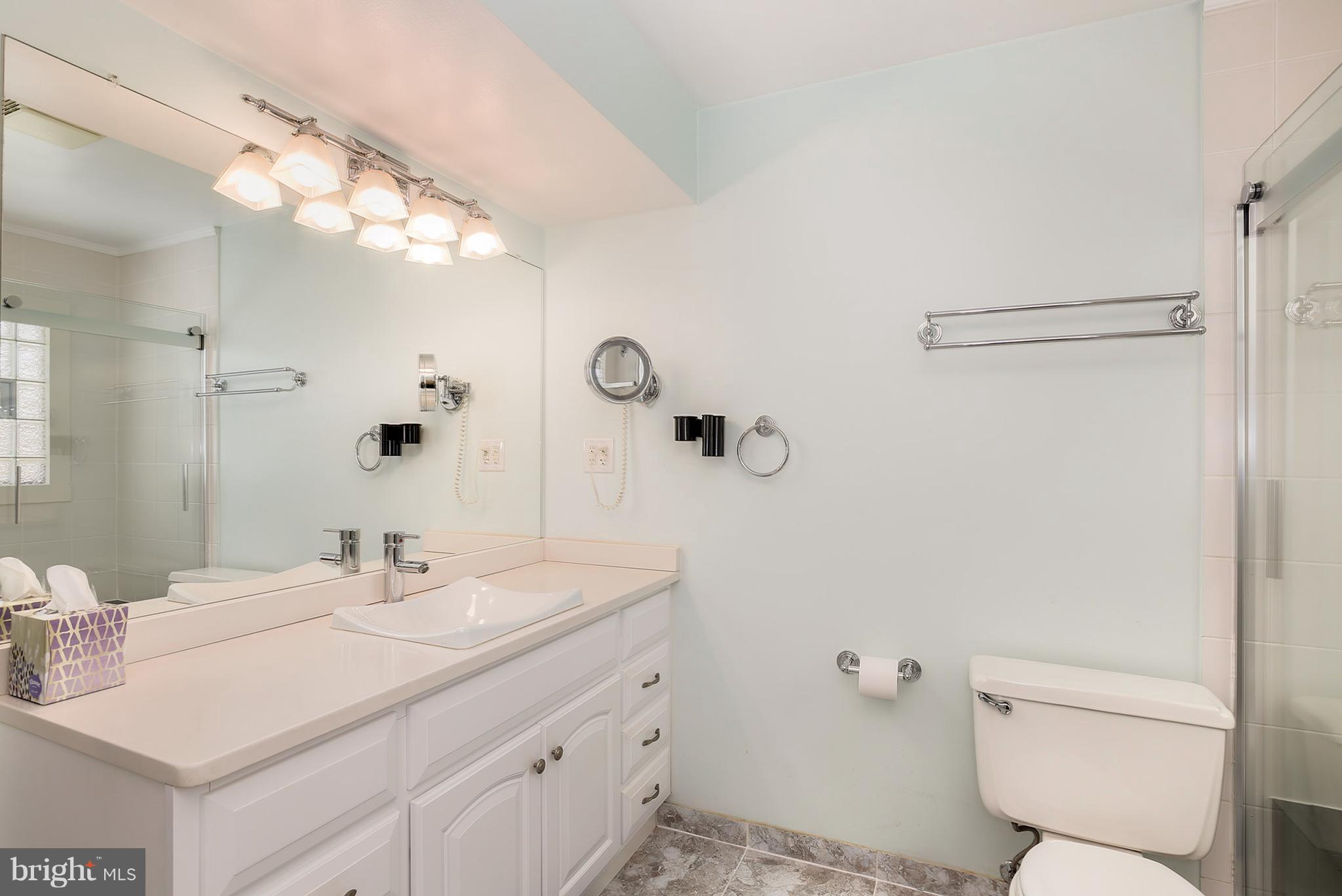 13900 Poplar Tree Road Chantilly, VA 20151 - Photo 24 of 30 Bath (Master)