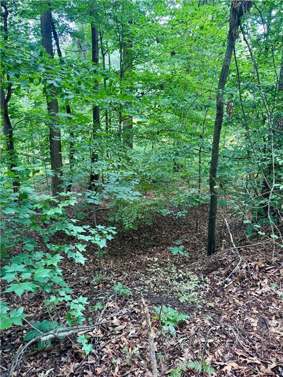 5557 Oakdale Road Southeast Mableton, GA 30126 - Photo 5 of 12