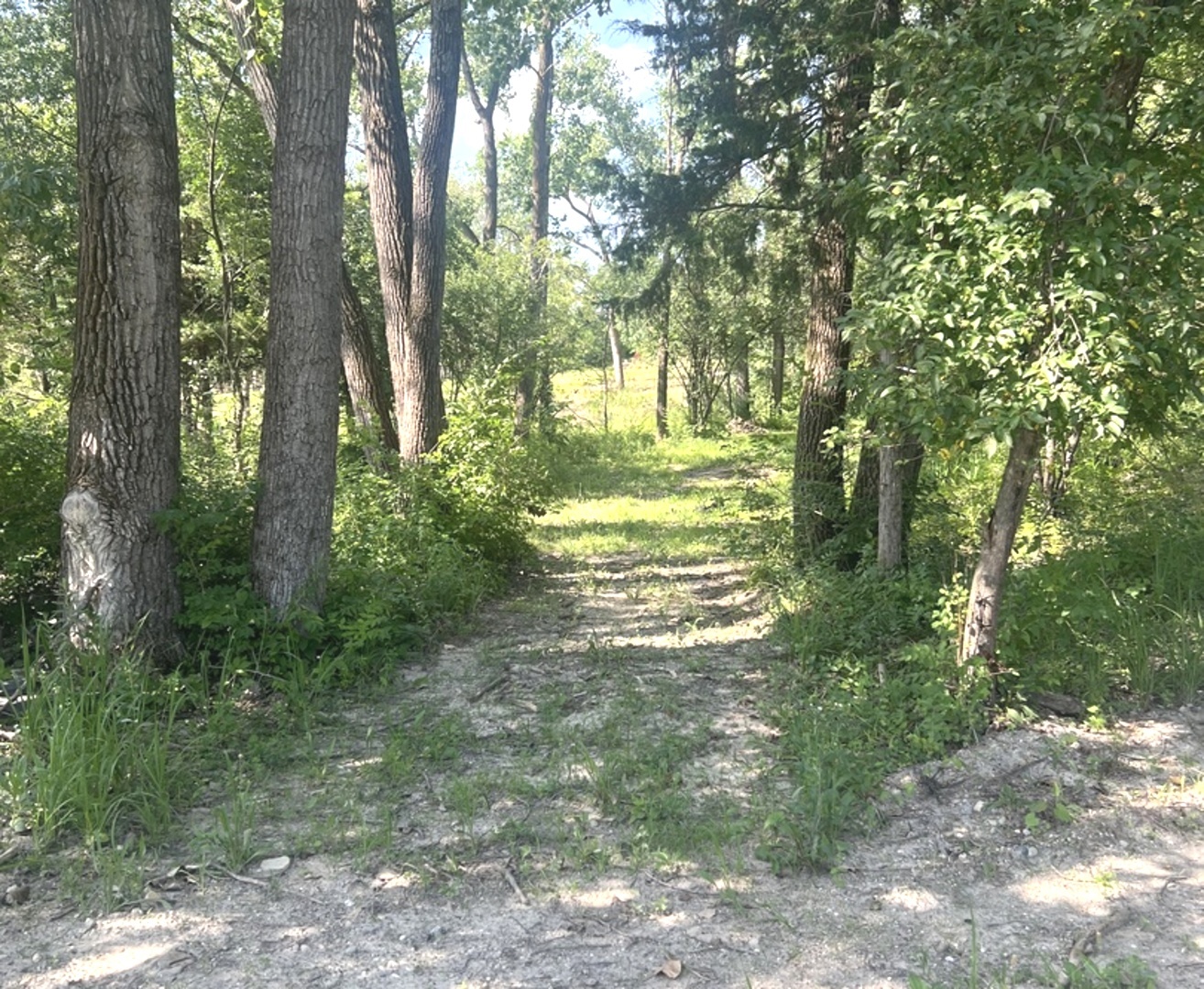 21 Wayman Canyon Road Oakwood, IL 61858 - Photo 50 of 58