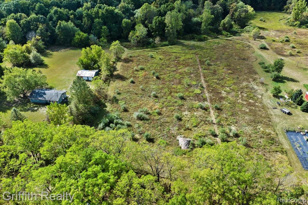 9800 Beeman Road Chelsea, MI 48118 - Photo 9 of 17