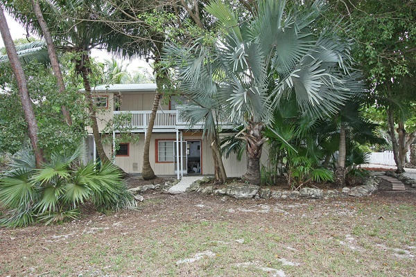 2450 Orlando Road Big Pine Key, FL 33043 - Photo 5 of 24 Side yard