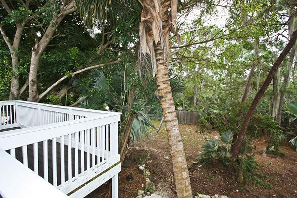2450 Orlando Road Big Pine Key, FL 33043 - Photo 8 of 24 Side yard & porch 2