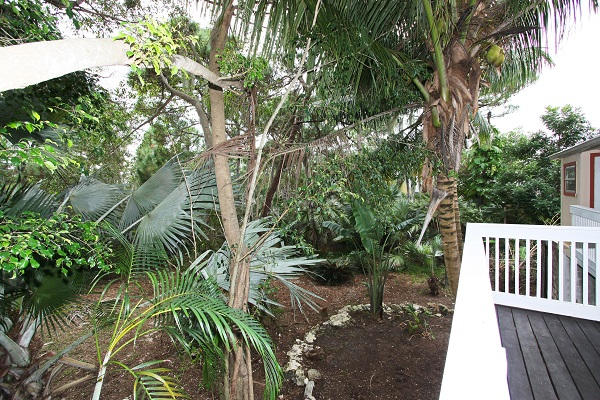 2450 Orlando Road Big Pine Key, FL 33043 - Photo 9 of 24 Side yard from porch