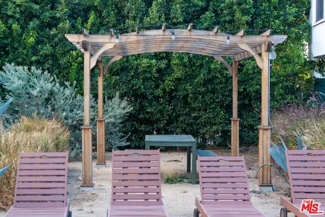 a view of a plant in a garden