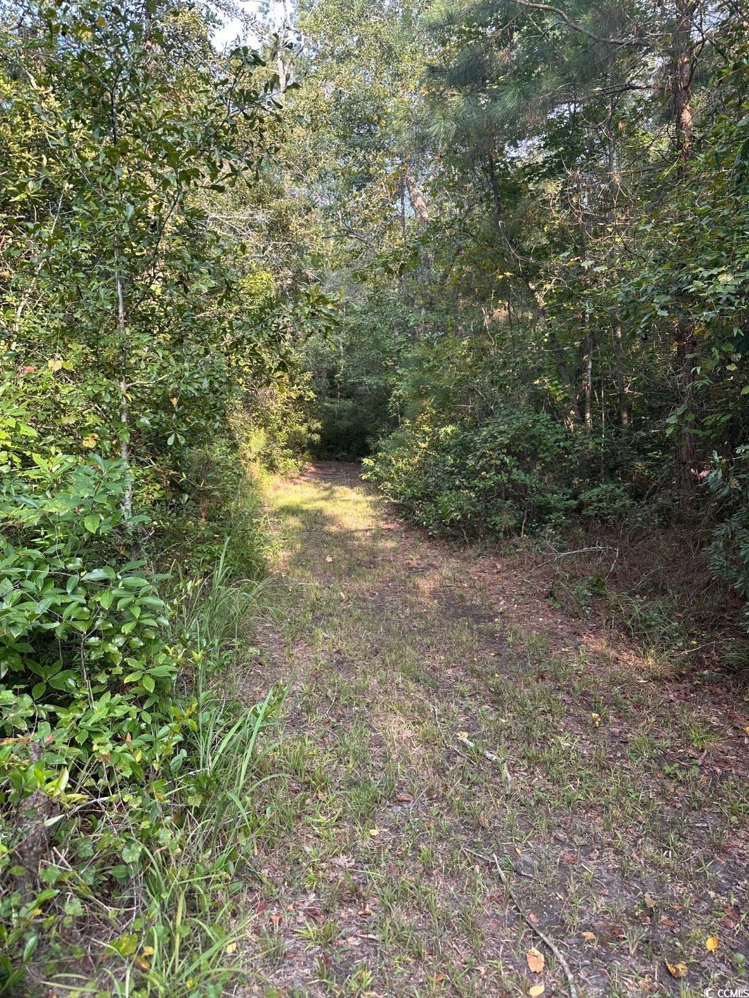 Tbd Tbd Godwin Prince Court Loris, SC 29569 - Photo 5 of 5 Gallery Image 5