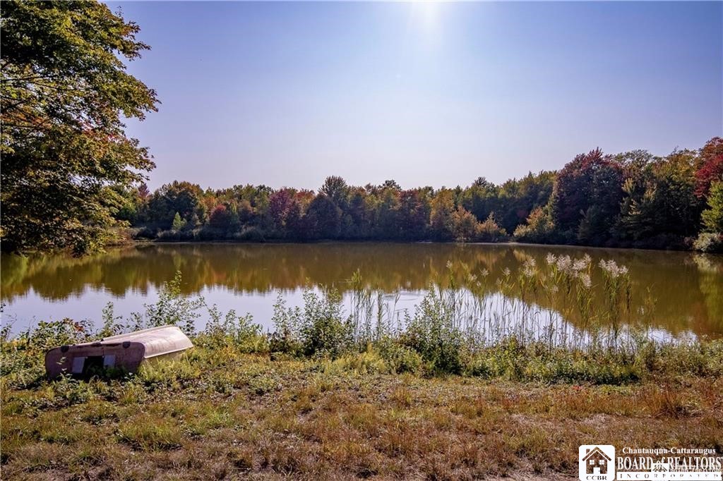 7120 Parker Road Chautauqua, NY 14757 - Photo 22 of 29 POND