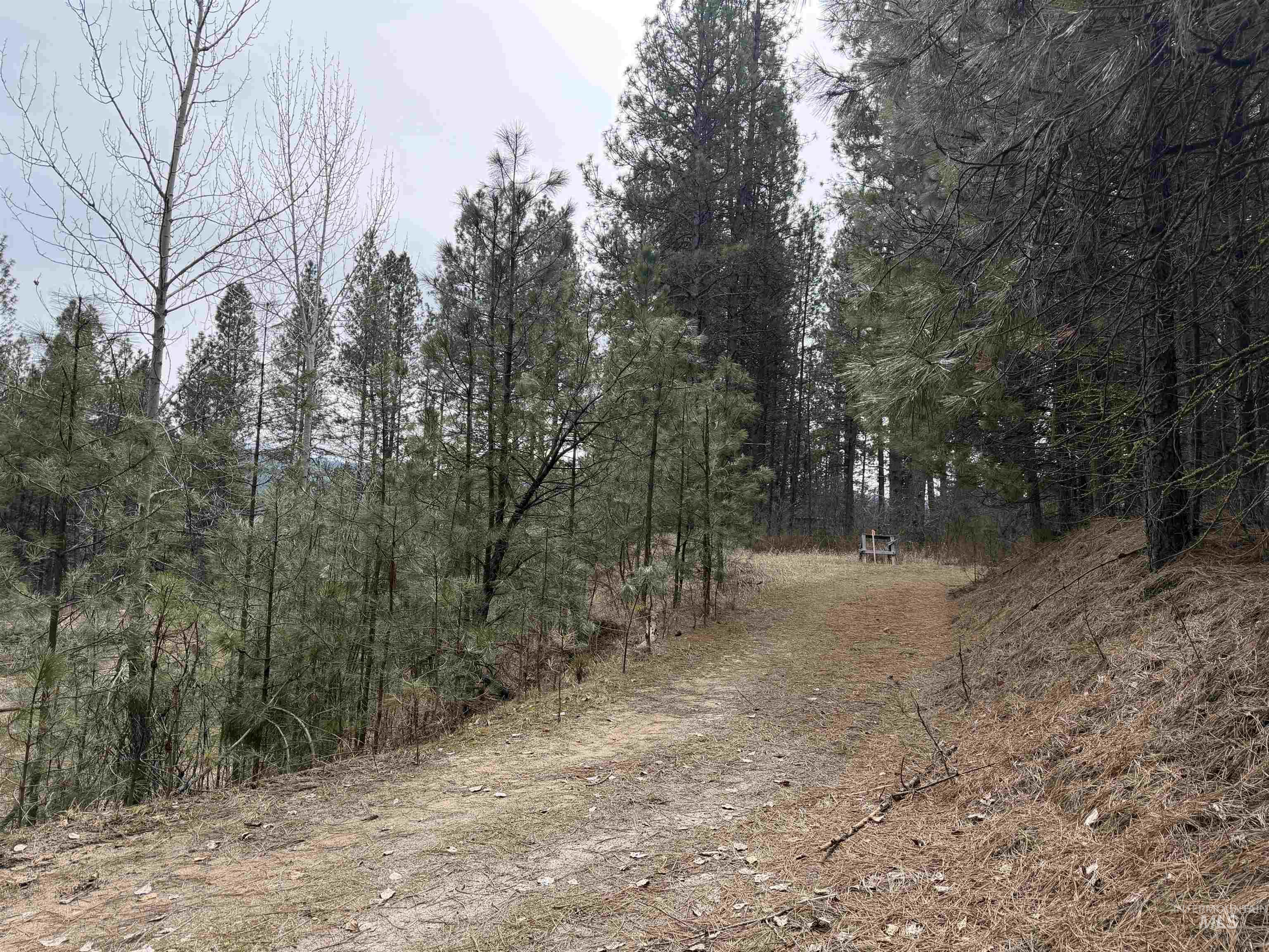 Parcel B South Middlefork Road Garden Valley, ID 83622 - Photo 5 of 12 View of road featuring a wooded view
